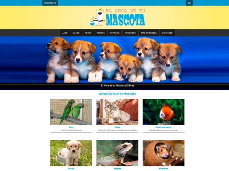 Diseño web en El Prat de Llobregat 