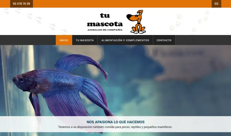 Diseño web en El Prat de Llobregat 